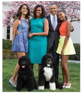 The First Family -PORTRAIT - Poster (12" x 12") - Picture 1 of 2