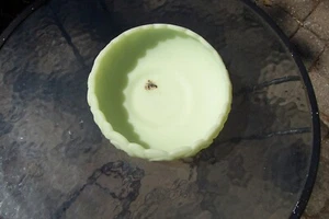  Fenton Kunstglas Limette Sherbet Satiniertes Glas Seerose Konsole Schüssel 9" - Bild 1 von 4