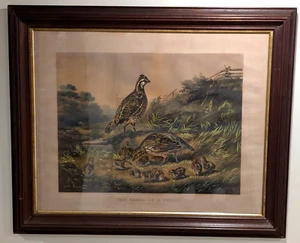 Vintage Currier & Ives "The Cares of a Family" Matted and Framed Lithograph - Picture 1 of 13