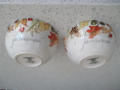 LOT OF 2 CERTIFIED INTERNATIONAL HARVEST SPLASH 6" BOWLS SUSAN WINGET NEW
