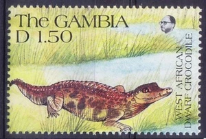 Gambia 1991 MNH, cocodrilo enano de África Occidental, reptiles - Imagen 1 de 1
