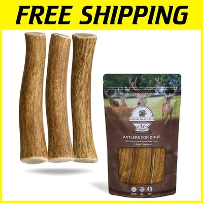 Masticables de cuerno de ciervo natural para perros medianos - Paquete de 3 Foto 1 de 4