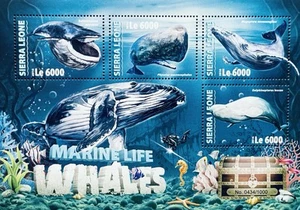 SIERRA LEONE MARINE LIFE WHALES STAMPS 2016 MNH SEA HORSE STARFISH SCUBA DIVER - Picture 1 of 1