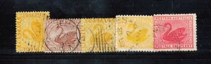 Western Australia #37, #40, #49, #74, #76. Schwäne. 1872-1902. Gebraucht [S4530] - Bild 1 von 1