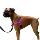 Dream Walk No-Pull Dog Harness- Adjustable, Comfortable, Easy To Use S Orchid