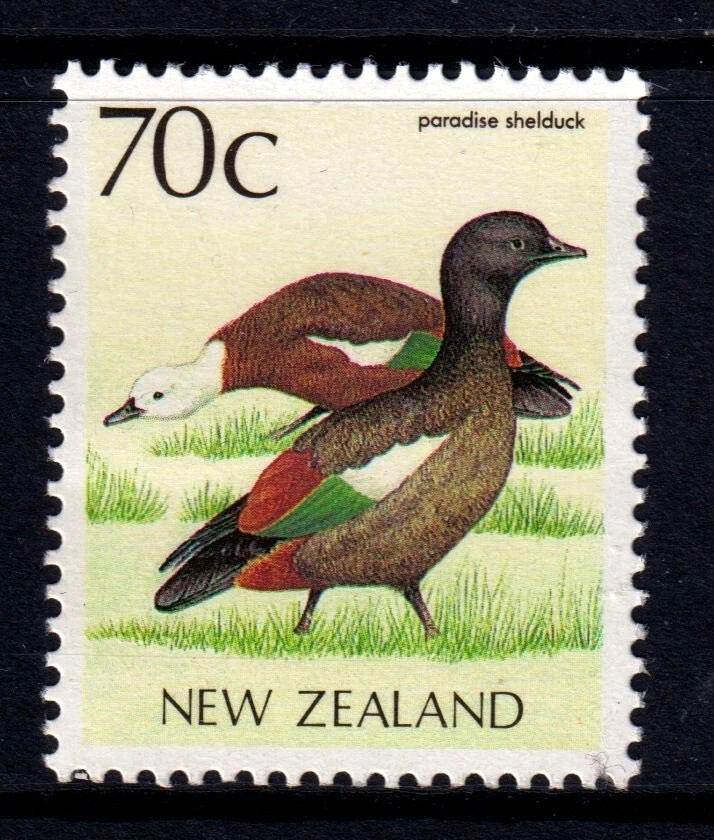Nueva Zelanda 1988 Paradise Shelduck 70c como nuevo MNH SC 832 Foto 1 de 1