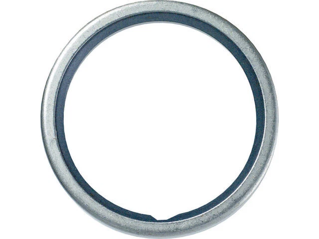 Junta tórica termostato para Dodge Ram 2500 1994-2000 8,0 L V10 gas 1995 1999 ZN828WP Foto 1 de 1