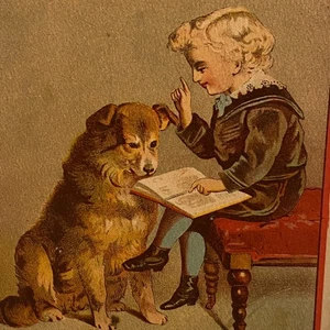 Sarica Coffee Trade Card Boy Dog Tracy & Avery Mansfield Ohio Vintage Print - Picture 1 of 4