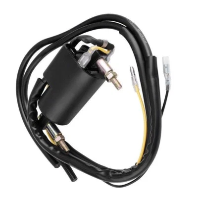 Bobina de encendido 12V universal 4 ohmios doble salida Kawasaki KZ400 440 650 750 KZ1000  Foto 1 de 4