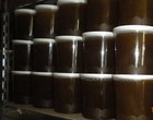 Miel de Foret 2025