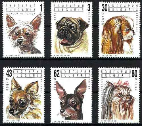 Timbres Chiens Bulgarie 23397/3402 ** (53968BH) - Photo 1/1