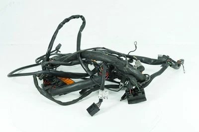 Harley Touring Electra Glide 1999 clásica OEM cableado principal arnés telar Foto 1 de 4