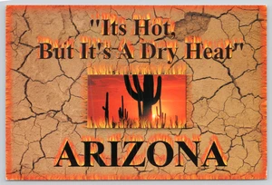Postal Arizona It's Hot But It's a Dry Heat Mudcracks and Desert Cactus - Imagen 1 de 3