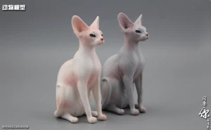 Kanadisch haarlos für 1/6. Maßstab 12 Zoll Actionfigur 1:6 Katze Tiermodell - Bild 1 von 5