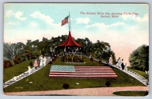 Blumenflagge, der Hügel, Belle Isle, Detroit Michigan, antike Postkarte - Bild 1 von 2