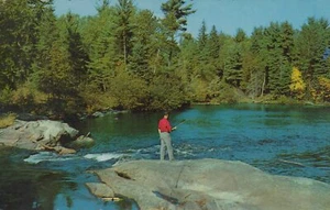Grüße aus Cole's Point Resort Healey Falls Ontario Kanada 1976 Postkarte - Bild 1 von 2