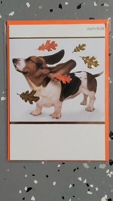 Papyrus Thanksgiving Turkey Day Card - Brand New - Image 1 of 2