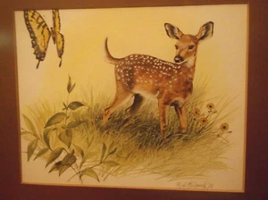 R.J. McDONALD "SPRING" WHITE TAIL DEER FAWN, FRAMED...NICE! - Picture 1 of 3