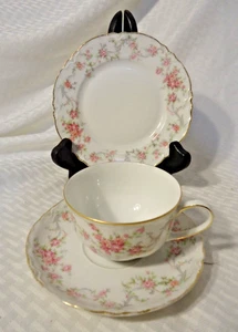 Vintage Hutschenreuther Bayern Deutschland Porzellan Teetasse Untertasse Wüstenteller - Bild 1 von 4