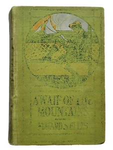 A Waif of the Mountains by Edward Sylvester Ellis 1905 Hardcover Rare - Imagen 1 de 7