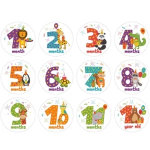 12 Pcs/Set Cartoon Animal Baby Monthly Stickers Photography Commemorative Card - Picture 1 of 8