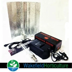 600W GROW LIGHT KIT  PLASTIC BALLAST - Picture 1 of 4