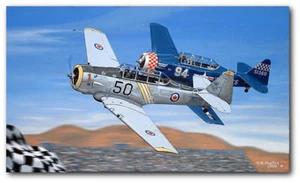 Primera victoria de David Mueller - Abracadabra - Carrera de bronce clase T-6 - Arte de aviación - Imagen 1 de 1