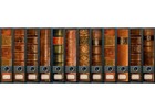 File Art - 12 breite Ordnerrücken Design Etiketten "Folio"...........311+312+313