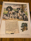 1944 Sergent's Dog Medicines lettre gastro-intestinale maison vieux chiots Bess Seconde Guerre mondiale annonce