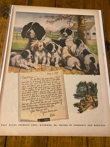 1944 Sergeant's Dog Medicines GI Letter Home Old Bess' Puppies WW II ad - Picture 1 of 1