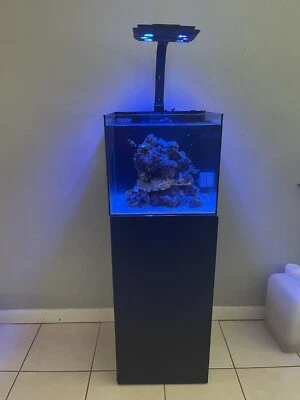 Maxspect Dados AIO Nano Cubo Arrecife Acuario Pecera 12 Galones Agua Salada Foto 1 de 4