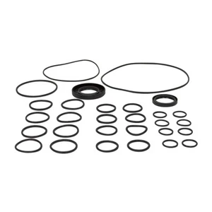 Pump Repair Kit PENTAIR HYPRO 9915-KIT2207 2-1545 - Picture 1 of 1