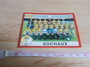 Image FOOT 95 PANINI - SOCHAUX - Picture 1 of 2
