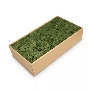 NaDeco Islandmoos 30 Farben zur Auswahl Rentier Moos Deko Bastel Moos Dekomoos - Bild 1 von 28
