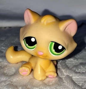 Littlest Pet Shop gelbes Katzentabby 94 mit grünen Augen authentisch LPS - Bild 1 von 9