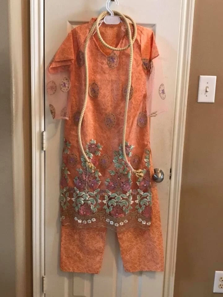 Pakistani Girl Gorgeous Net Embroidery Work Dress Kameez Trouse Suit - Image 1 of 1