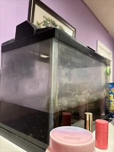 10 G Aquarium - Picture 1 of 1
