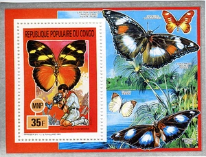 Congo 1991 Perf. Scouting , Mushrooms & Butterflies Luxury block N° 1242 - 1247 - Picture 1 of 6
