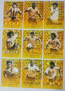 COPA AMERICA USA 2024 Card FOIL - FULL SET LEGEND CARDS - MARADONA / RONALDO & + - Picture 1 of 6