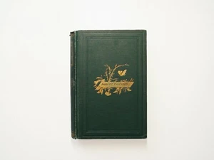 Robert Falconer, George MacDonald, Early American Ed., c1876 - Bild 1 von 8