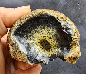 Ópalo dendrítico áspero, ópalo dendrítico amarillo de 6,41 oz (182 gr), ópalo coleccionable - Imagen 1 de 16