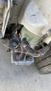 SERVOLENKUNG PUMPE Renault Trafic Passenger (1JL/2JL/3JL/4JL) 491100616R - Bild 1 von 6