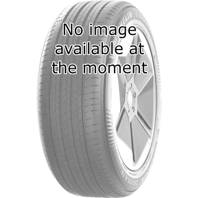 Winterreifen STARMAXX 205/55 R 19 TL 97H INCURRO WINTER W870 XL - Bild 1 von 1