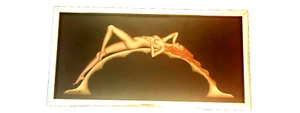 Vintage Reclinabile Nudo Art Deco 1° Edizione Incorniciato Gustave Kaitz Decograph - Foto 1 di 5