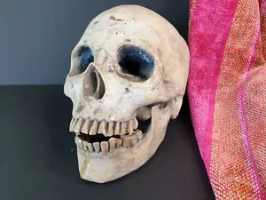 Old Cast Skull …beautiful display piece - Picture 1 of 10