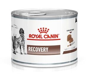 9003579307717 ROYAL CANIN Recovery Wet dog and cat food Mousse Poultry, Pork 195