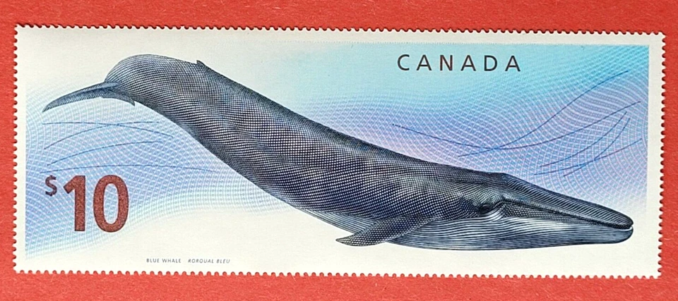 Canada Stamp 2405 "Wildlife Blue Whale"  S/S MNH 2010 - Image 1 of 1