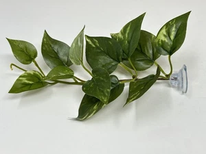 7" long 12-leaf Green & White Variegated Pothos Silk Betta safe Plant, SUCTION C - Picture 1 of 4