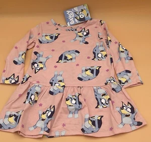 Vestido azul niña manga larga rosa cintura caída 3T nuevo - Imagen 1 de 4