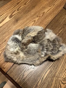 Vintage North King Natural Rabbit Fur Size Small - Picture 1 of 10